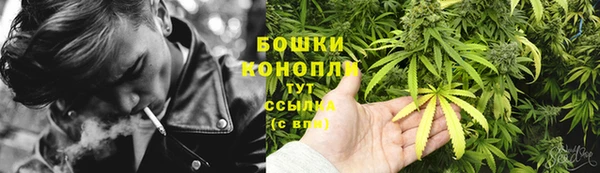 стаф Богданович